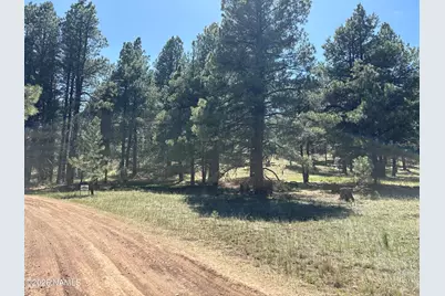 5920 White Tail Lane, Flagstaff, AZ 86005 - Photo 11