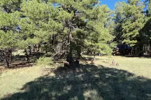 5920 White Tail Ln, Flagstaff, AZ 86005 - Photo 1