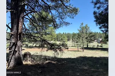 5920 White Tail Lane, Flagstaff, AZ 86005 - Photo 5