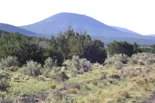 10955 Howard Mesa Loop, Williams, AZ 86046 - Photo 1