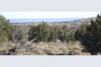 10955 Howard Mesa Loop, Williams, AZ 86046 - Photo 13