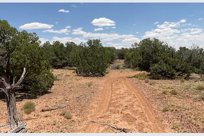 6379 County Road 61 N, Saint Johns, AZ 85936 - Photo 35
