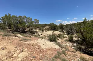 6379 County Road 61 N, Saint Johns, AZ 85936 - Photo 33