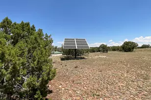 6379 County Road 61 N, Saint Johns, AZ 85936 - Photo 31