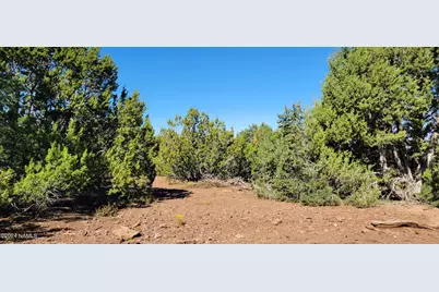 2432 E Fir Street, Williams, AZ 86046 - Photo 3