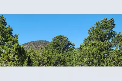 2394 E Fir Street, Williams, AZ 86046 - Photo 3