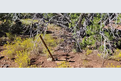 2394 E Fir Street, Williams, AZ 86046 - Photo 7