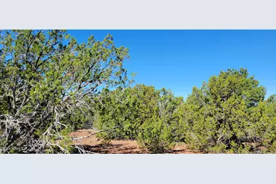 2394 E Fir Street, Williams, AZ 86046 - Photo 5