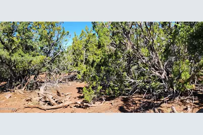 2394 E Fir Street, Williams, AZ 86046 - Photo 11