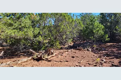 2394 E Fir Street, Williams, AZ 86046 - Photo 9