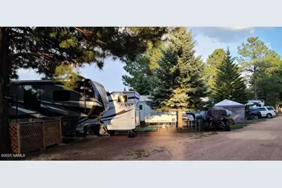 867 Crestview Drive, Mormon Lake, AZ 86038 - Photo 55