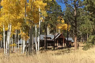 15900 Forest Service 900 1K Road NE, Flagstaff, AZ 86001 - Photo 17