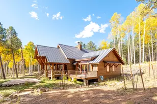 15900 Forest Service 900 1K Road NE, Flagstaff, AZ 86001 - Photo 3