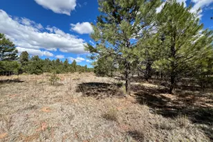 11322 E Pk Ln, Parks, AZ 86018 - Photo 1