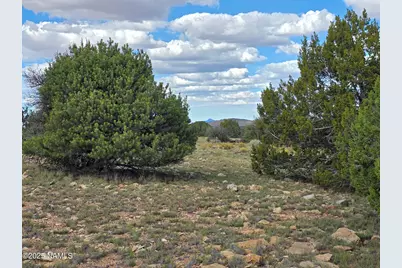 6154 Fire Sky Trl Lot C, Williams, AZ 86046 - Photo 13