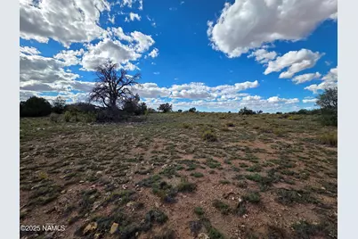 6154 Fire Sky Trl Lot C, Williams, AZ 86046 - Photo 3