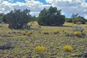 6154 Fire Sky Trl Lot D, Williams, AZ 86046 - Photo 1