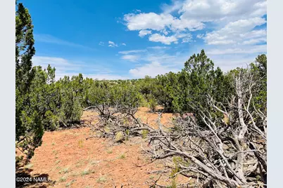6379 Water Tank Circle, Williams, AZ 86046 - Photo 9