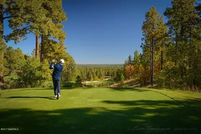 4311 Appaloosa Street #37, Flagstaff, AZ 86005 - Photo 7