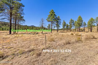 14380 Ventoso Court, Flagstaff, AZ 86004 - Photo 15