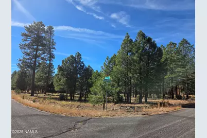 2522 Pinon Circle, Happy Jack, AZ 86024 - Photo 13