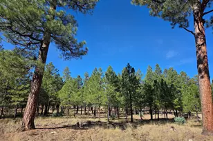2522 Pinon Cir, Happy Jack, AZ 86024 - Photo 1