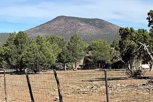 7065 Tulip Trail, Williams, AZ 86046 - Photo 1