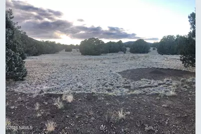 7378 Tulip Trail, Williams, AZ 86046 - Photo 7