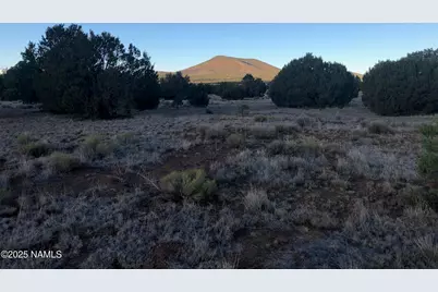 7378 Tulip Trail, Williams, AZ 86046 - Photo 15