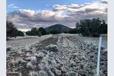 7378 Tulip Trail, Williams, AZ 86046 - Photo 11