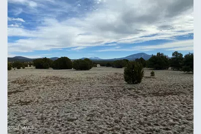 7378 Tulip Trail, Williams, AZ 86046 - Photo 5