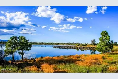 867 Hill Top Drive, Mormon Lake, AZ 86038 - Photo 25