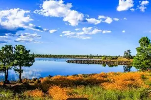 867 Hilltop Dr, Mormon Lake, AZ 86038 - Photo 25