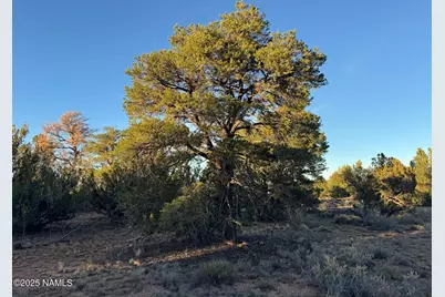 4813 E Woodland Rnch Road, Williams, AZ 86046 - Photo 3