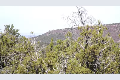 803 E Pawpaw Lane, Williams, AZ 86046 - Photo 7