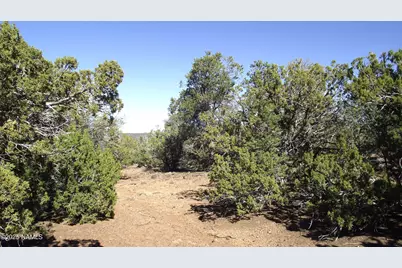 803 E Pawpaw Lane, Williams, AZ 86046 - Photo 5