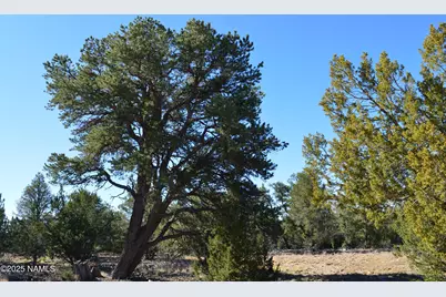 13887 Bly Station Road, Williams, AZ 86046 - Photo 15