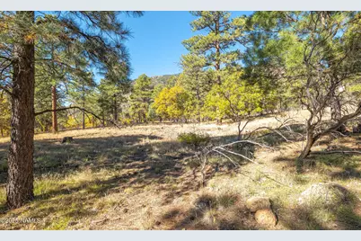 6289 N Snowflake Drive, Flagstaff, AZ 86004 - Photo 9