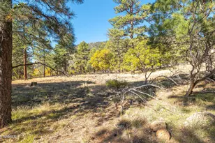 6289 N Snowflake Dr, Flagstaff, AZ 86004 - Photo 9