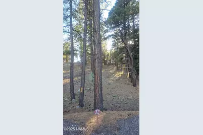 1035,1037 Timbernook Crossing, Williams, AZ 86046 - Photo 5