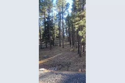 1035,1037 Timbernook Crossing, Williams, AZ 86046 - Photo 13