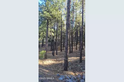 1035,1037 Timbernook Crossing, Williams, AZ 86046 - Photo 15