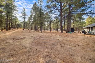 3628 E Pine Cone Dr, Williams, AZ 86046 - Photo 23
