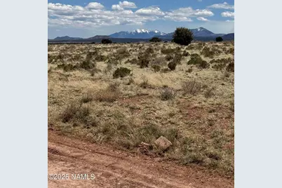 3923 Meadowbrook Drive, Williams, AZ 86046 - Photo 3