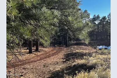 475 N Double A Ranch Road, Williams, AZ 86046 - Photo 5