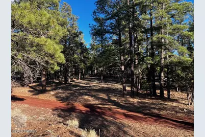 475 N Double A Ranch Road, Williams, AZ 86046 - Photo 11