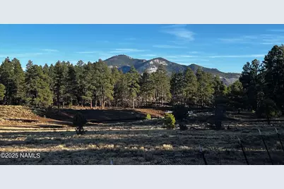 475 N Double A Ranch Road, Williams, AZ 86046 - Photo 9