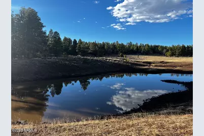 475 N Double A Ranch Road, Williams, AZ 86046 - Photo 3