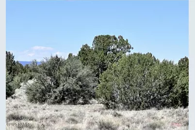 3240 S Sycamore Road, Williams, AZ 86046 - Photo 5