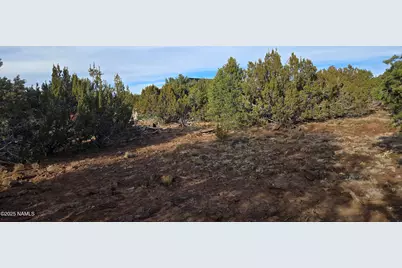 2393 E Starry Night Way #15, Williams, AZ 86046 - Photo 11